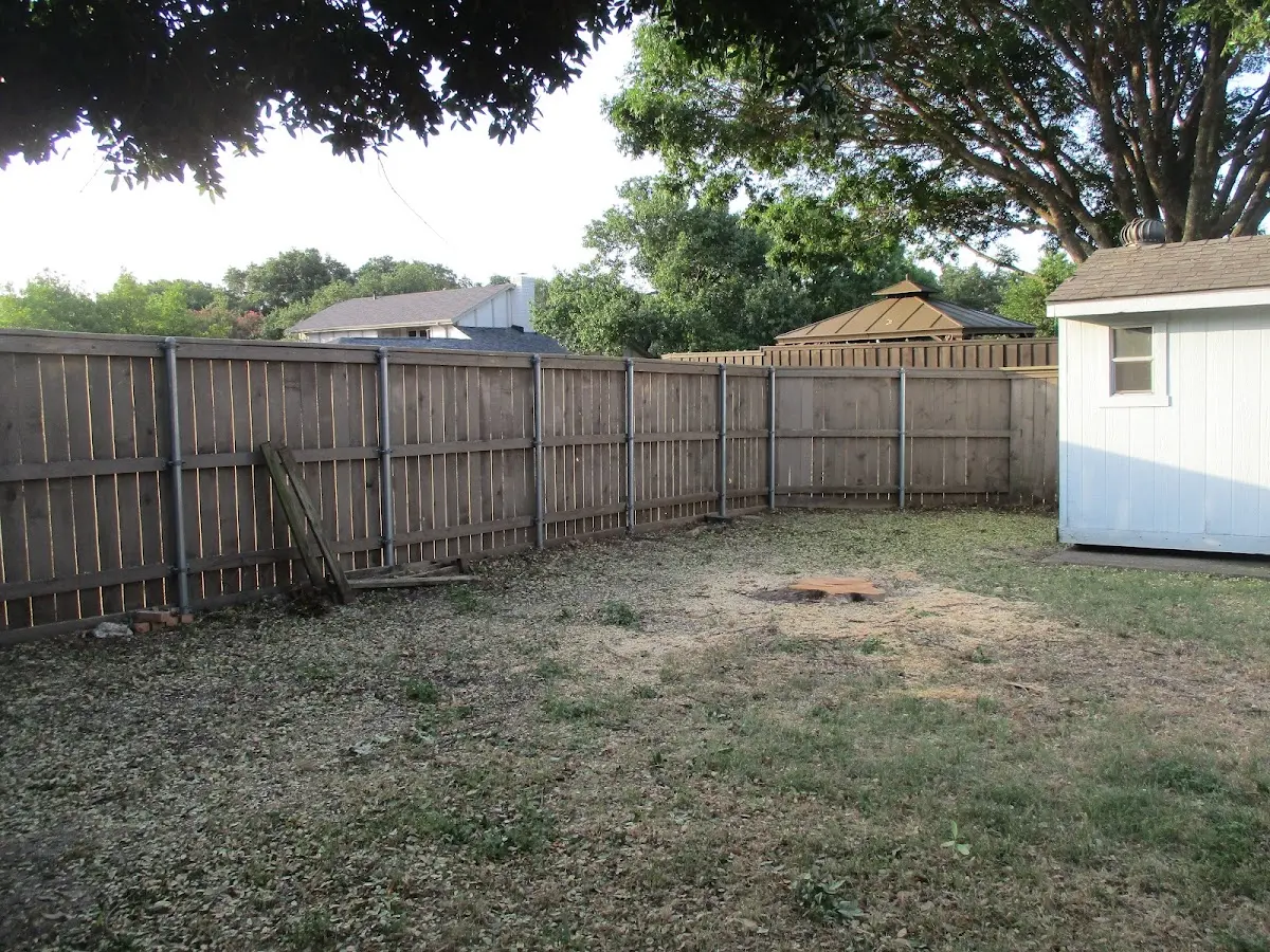 Cleared yard after professional tree removal in East Carondelet